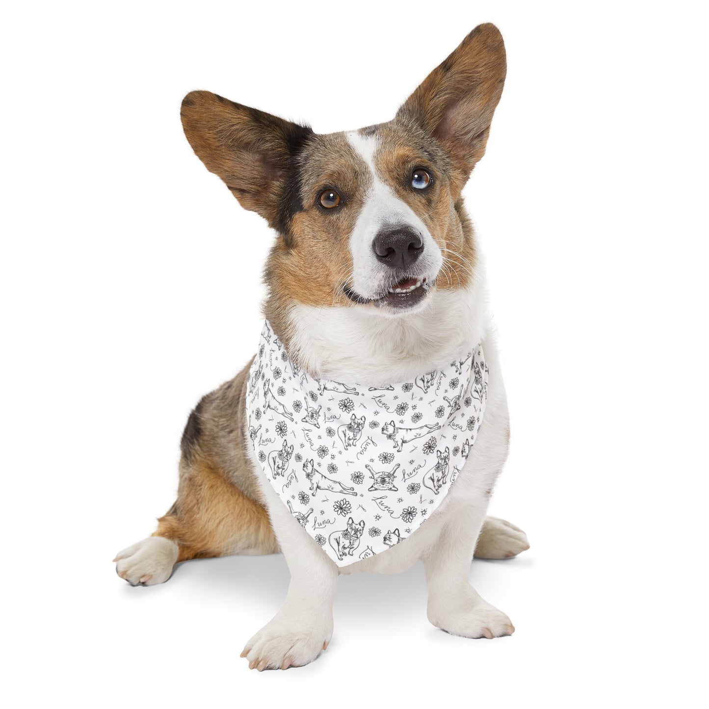 Luna Pattern: Pet Bandana Collar